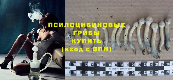PSILOCYBIN Абинск
