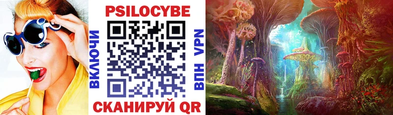 Псилоцибиновые грибы MAGIC MUSHROOMS  Фрязино 