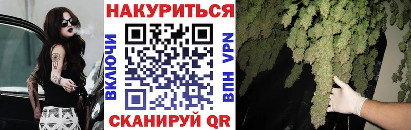 Бошки марихуана OG Kush  Фрязино 